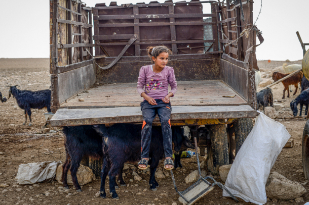 Egy beduin kislány a teherautó platóján
Forrás: mti.hu
Szerző: Kallos Bea